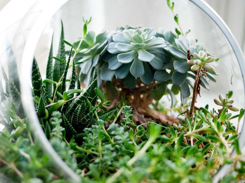 Equipo GazunTedaxUrsenOztor