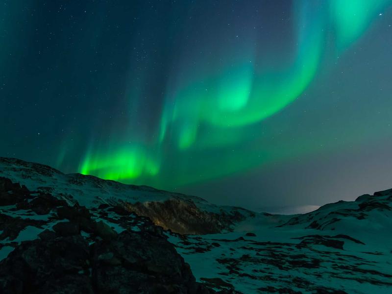 GazunTedaxUrsenOztor